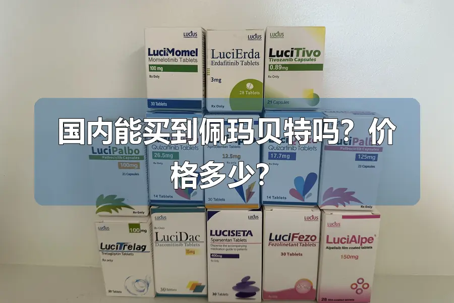 国内能买到佩玛贝特吗?价格多少?